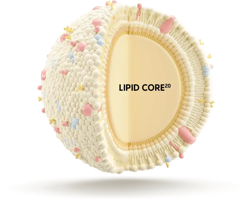 MFGM Clinical Studies and Benefits Mead Johnson HCP